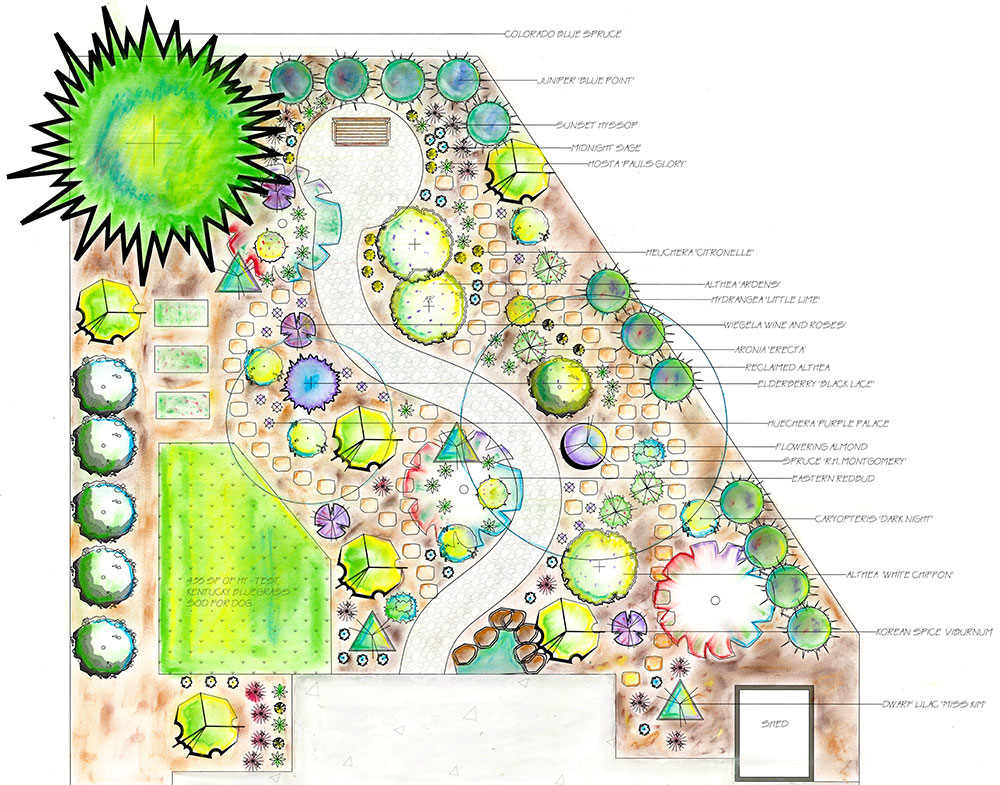 colored site plan 1